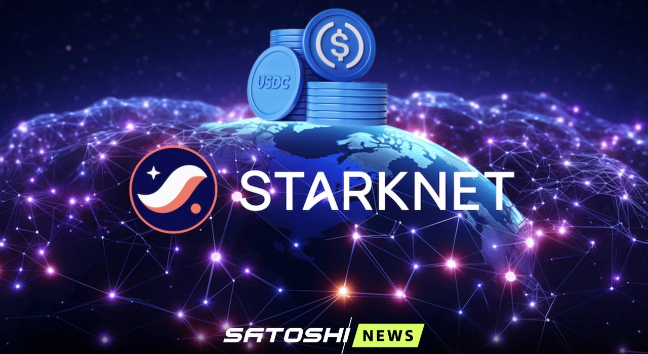 В Starknet запустили поддержку платежей в стейблкоинах